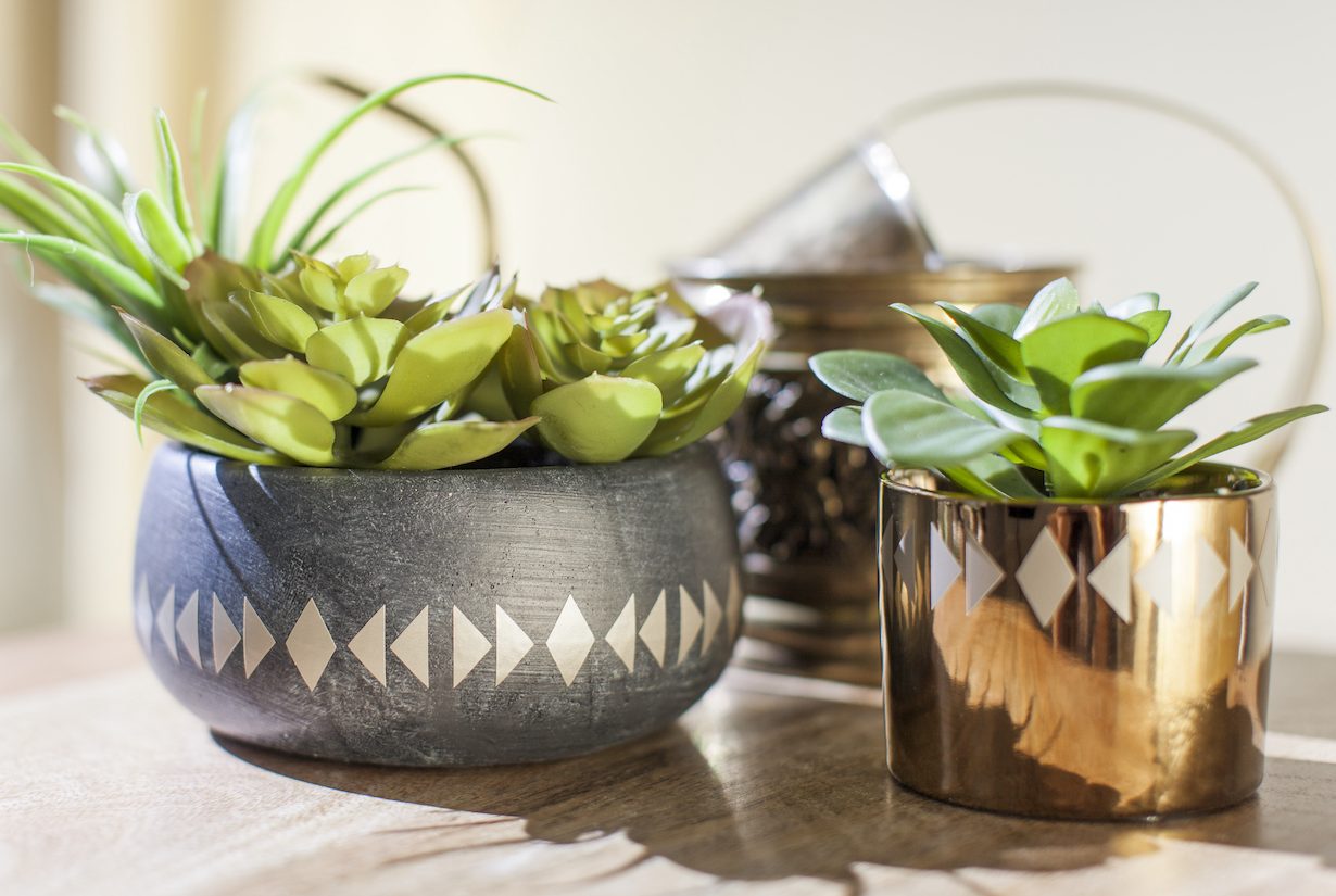 5 ideas to personalize your potted patio plants