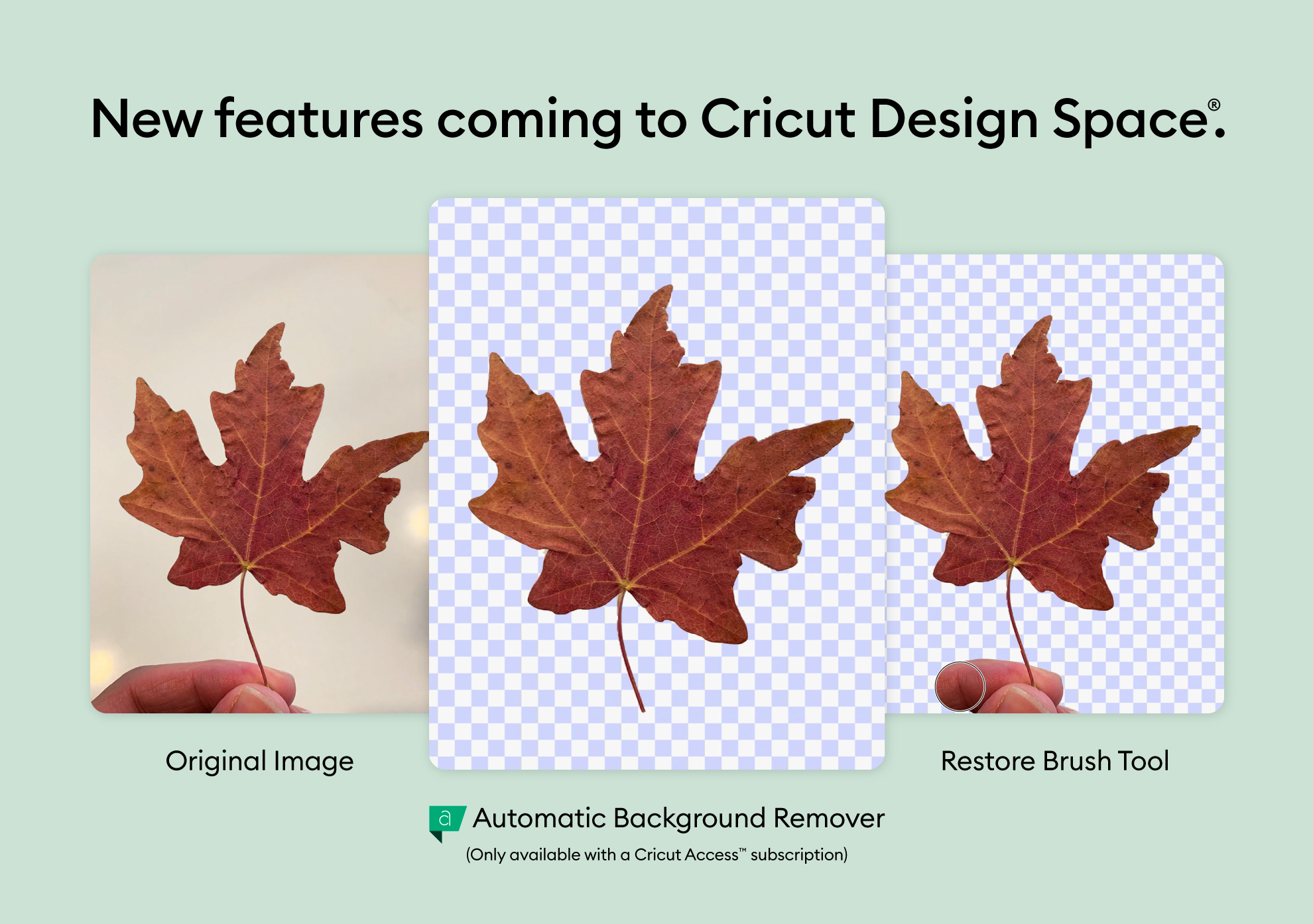 New in Design Space: Restore Brush and Automatic Background Remover