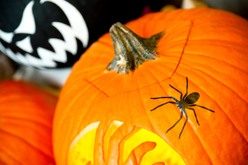 Vinyl spider decal on Halloween pumpkins