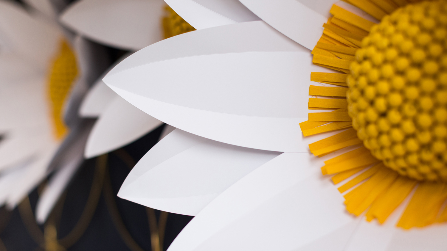 DIY giant paper daisies