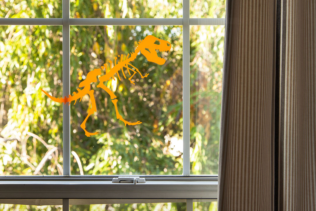 Dinosaur skeleton window cling using removable vinyl