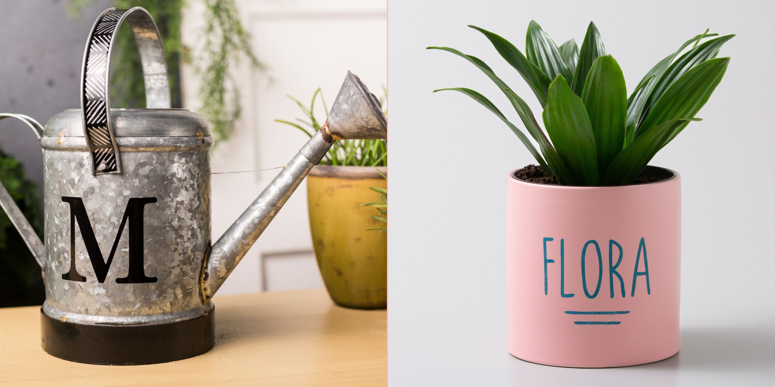 Cricut Plant lover Gift Ideas