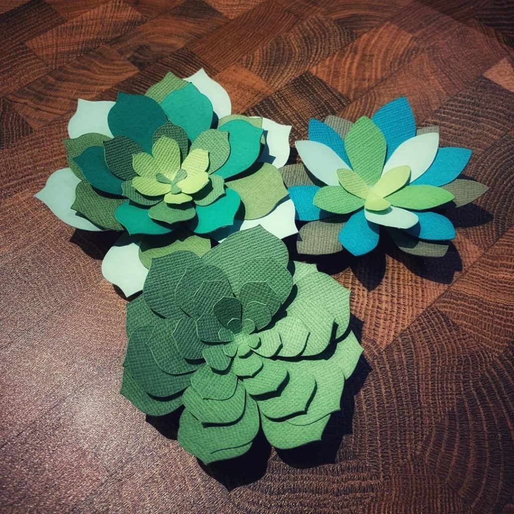 Paper succulents idea