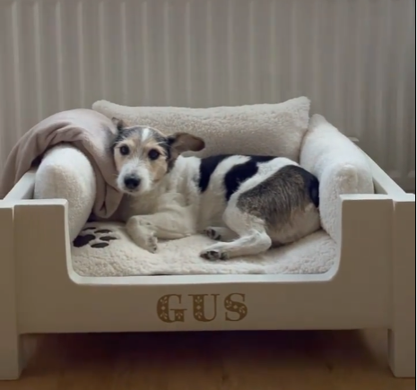 Personalised Dog Bed Trend 2022 Idea