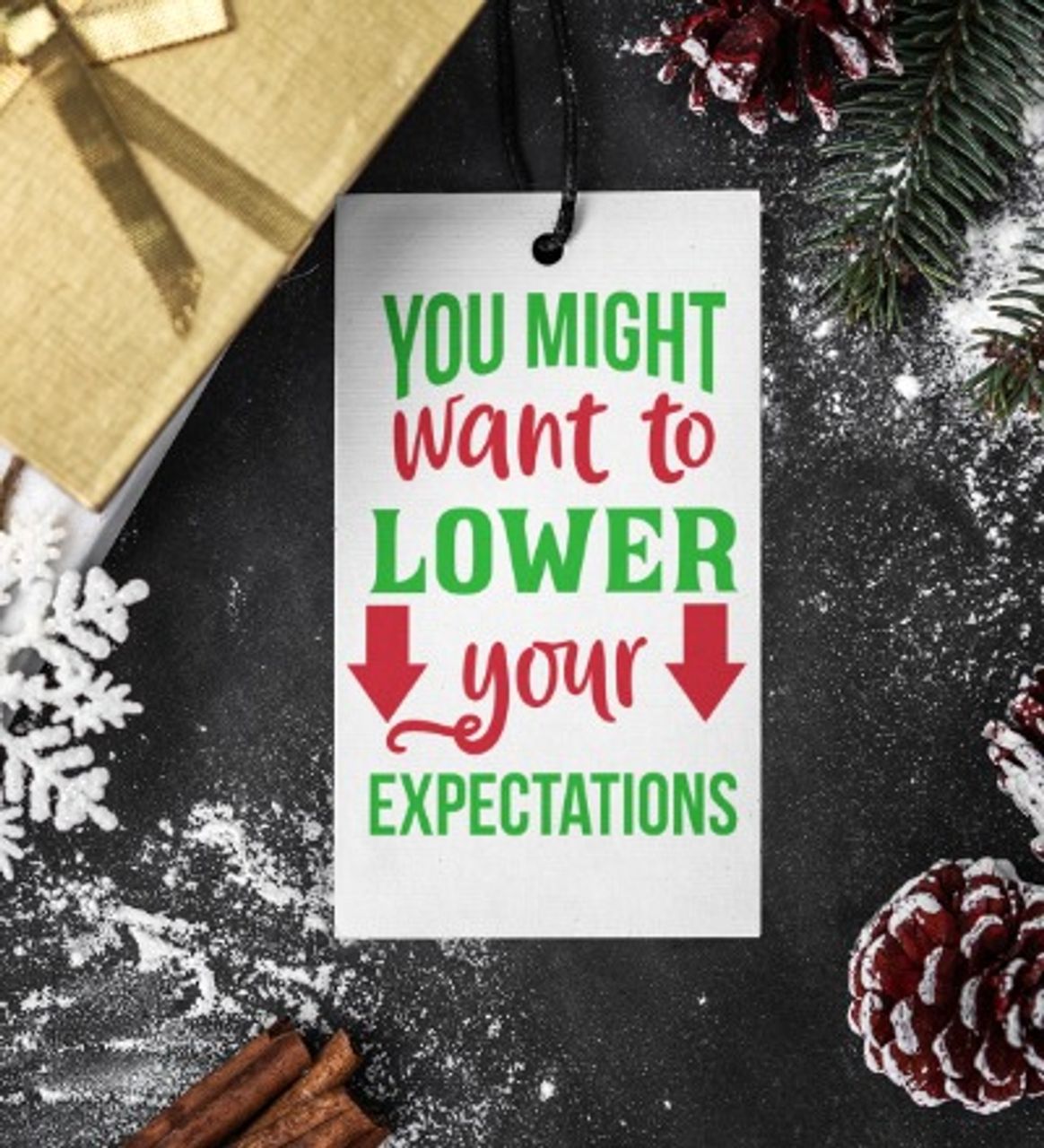 You Might Want to Lower Your Expectations Funny Gift Tag