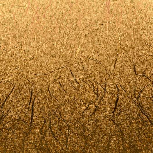 Collection Premium Vinyl&trade; M&eacute;tallique textur&eacute;, M&eacute;taux pr&eacute;cieux - Permanent