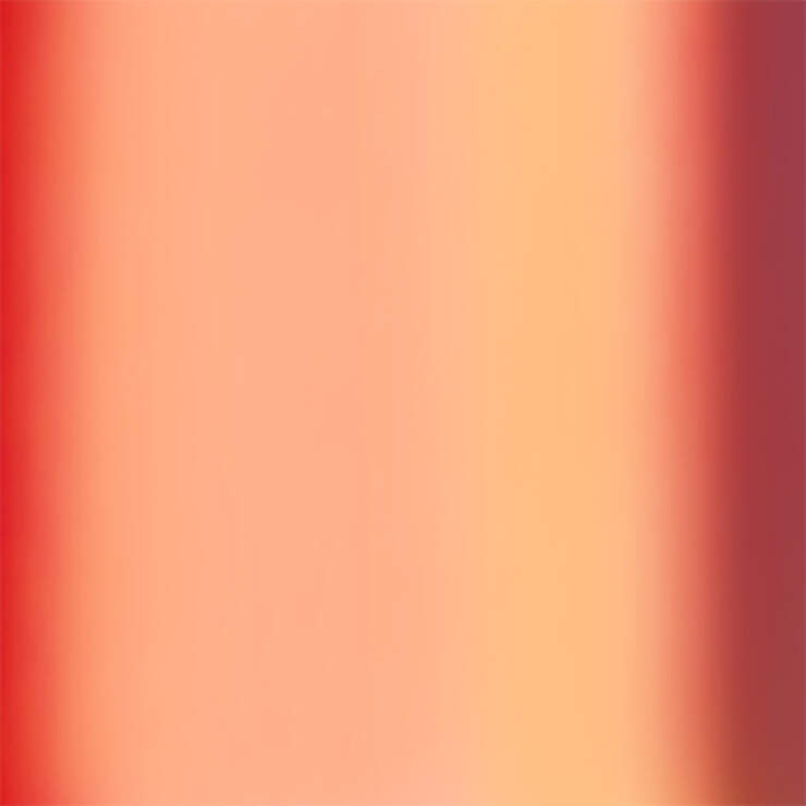 Holographic Vinyl Sampler Holographic Vinyl Sampler