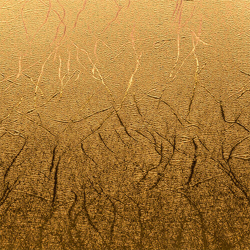 Premium Vinyl™ Textured Metallic - Permanent, Gold | Cricut Shop