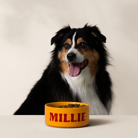 Cricut Joy Xtra™ in Lavendel + Materialien Bundle + Cricut Access™ Abo