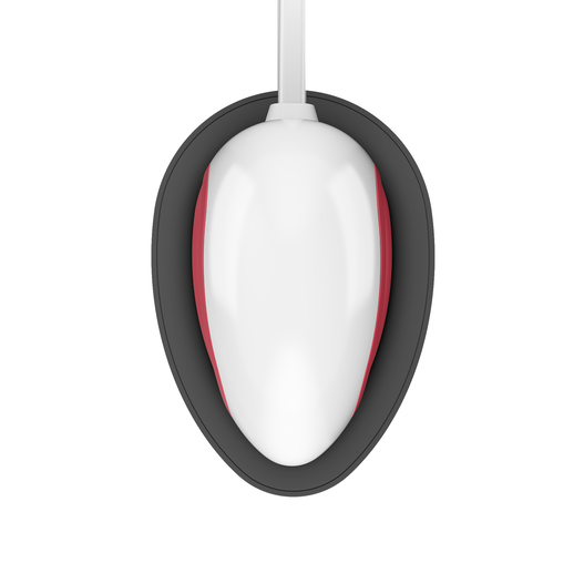 Cricut EasyPress Mini™, Raspberry