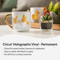 Vinyle holographique, collection Argent - Permanent (6 unités)