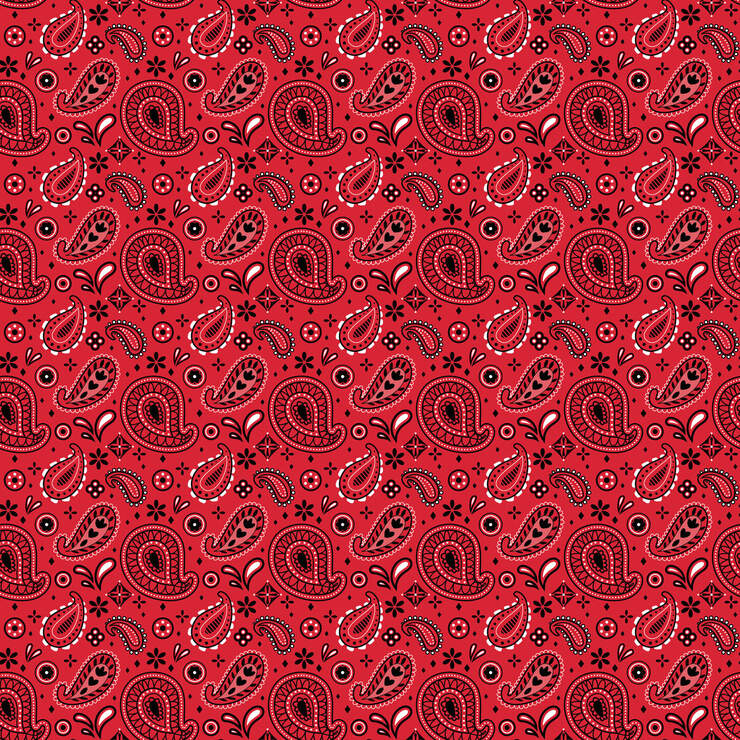 Infusible Ink™ Transfer Sheet Patterns, Western Sweetheart