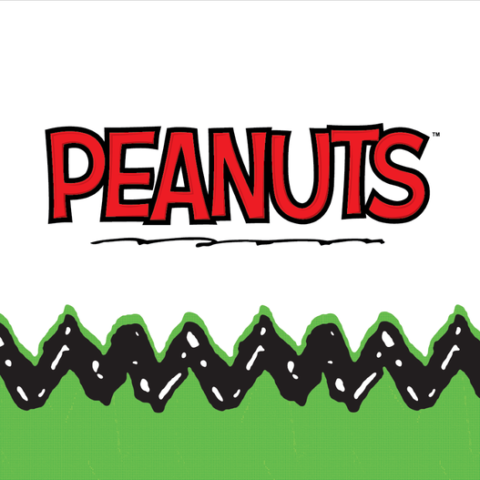 Peanuts™ Holiday Digital Mystery Box