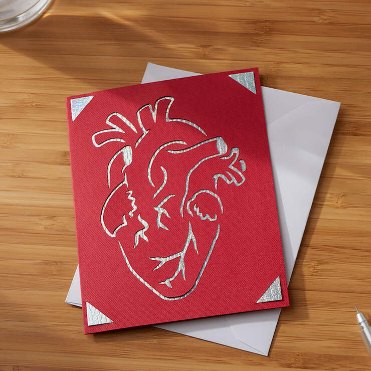 Cricut Joy™ Insert Cards, Mesa Sampler