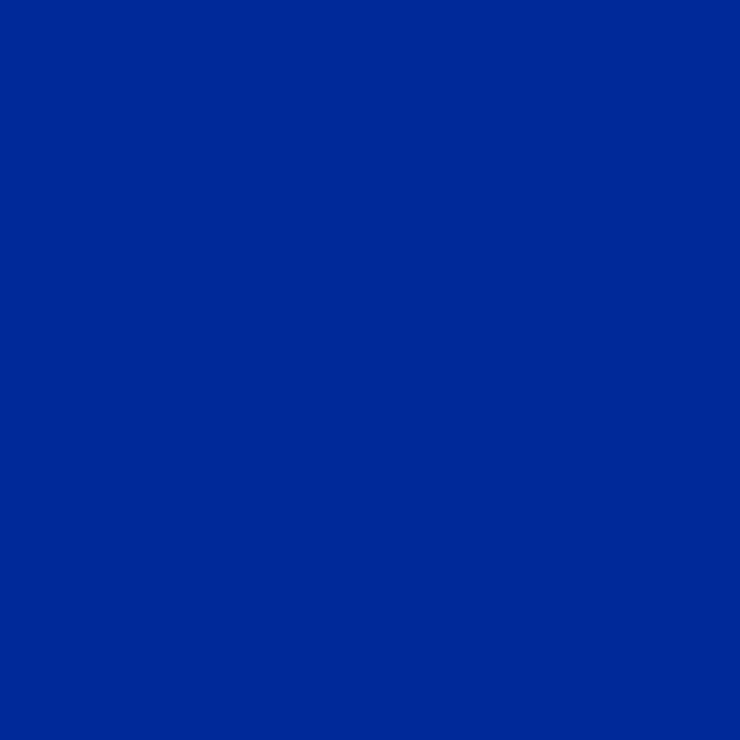 INF INK SLD BLEU VÉRITABLE 11,4 x 30,5 cm (2) INF INK SLD BLEU VÉRITABLE 11,4 x 30,5 cm (2)