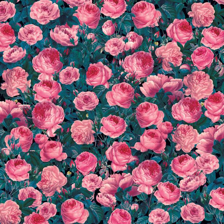 Infusible Ink™ Transfer Sheet Patterns, Cabbage Rose Infusible Ink™ Transfer Sheet Patterns, Cabbage Rose