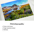 Cricut StickerPix Print&trade; Ultimate-Plus-Bundle