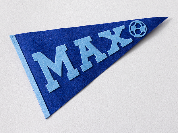 Felt pennant project
