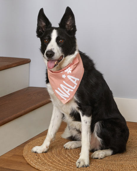 Personalized dog bandana