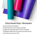 Cricut® Smart Vinyl™ Matless Permanent Vinyl, Colorful Sampler – 13 in x 12 in (20 ct)