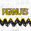 Peanuts&trade; - Beagle Scouts Digital Mystery Box