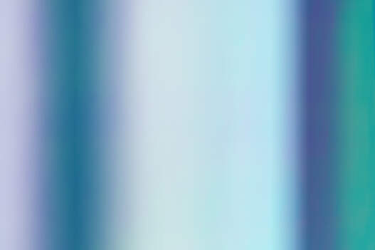 Holographic Vinyl Sampler