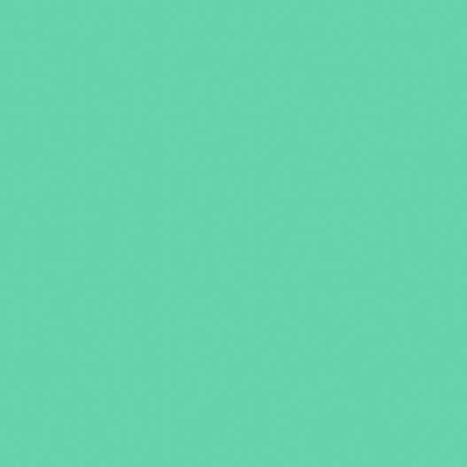 Premium-Vinyl&trade;&ndash;Removable