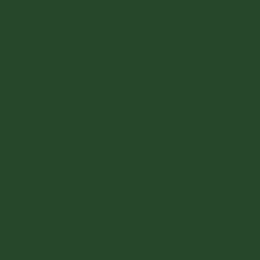 Cricut Removable Premium Vinyl - Bright Green, 12 x 48
