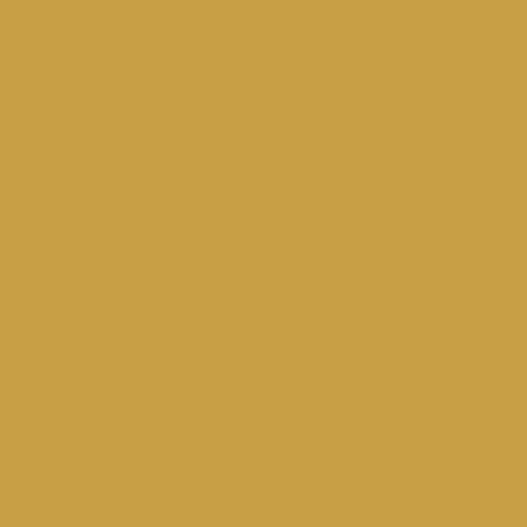 Cricut • Premium Vinyl Permanent 12”x48” Gold