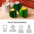 Value Cardstock, Botanicals Sampler - 8.5 in x 11 in (80 ct)