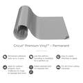 Premium Vinyl™ -  Permanent, Light Grey (2-Pack)