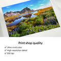 Cricut StickerPix Print&trade; Essential Bundle