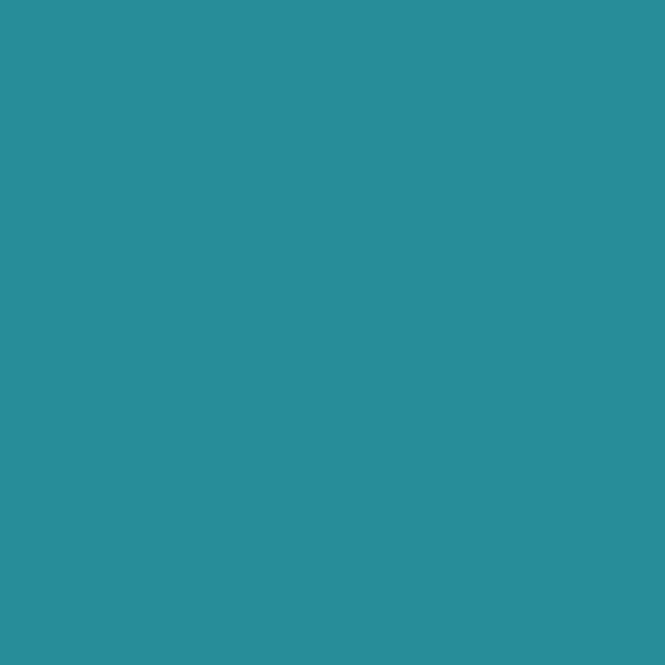 Premium Vinyl™ Sampler, Summer - Permanent