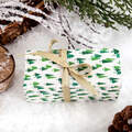 Snowbird Mystery Box