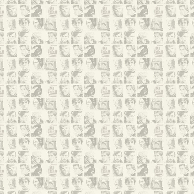 Deluxe Paper, Star Wars™ - Galactic Empire