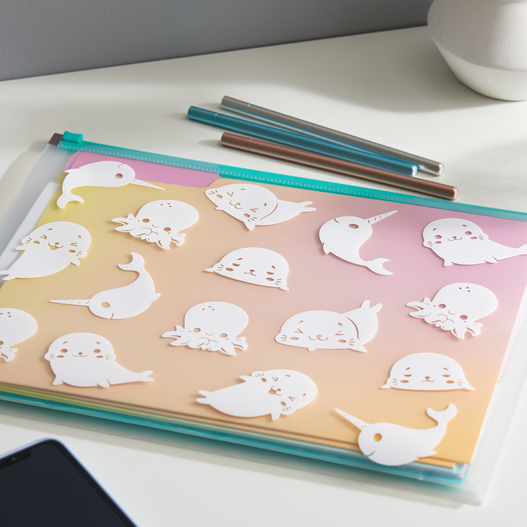 Removable Vinyl Essentials Bundle