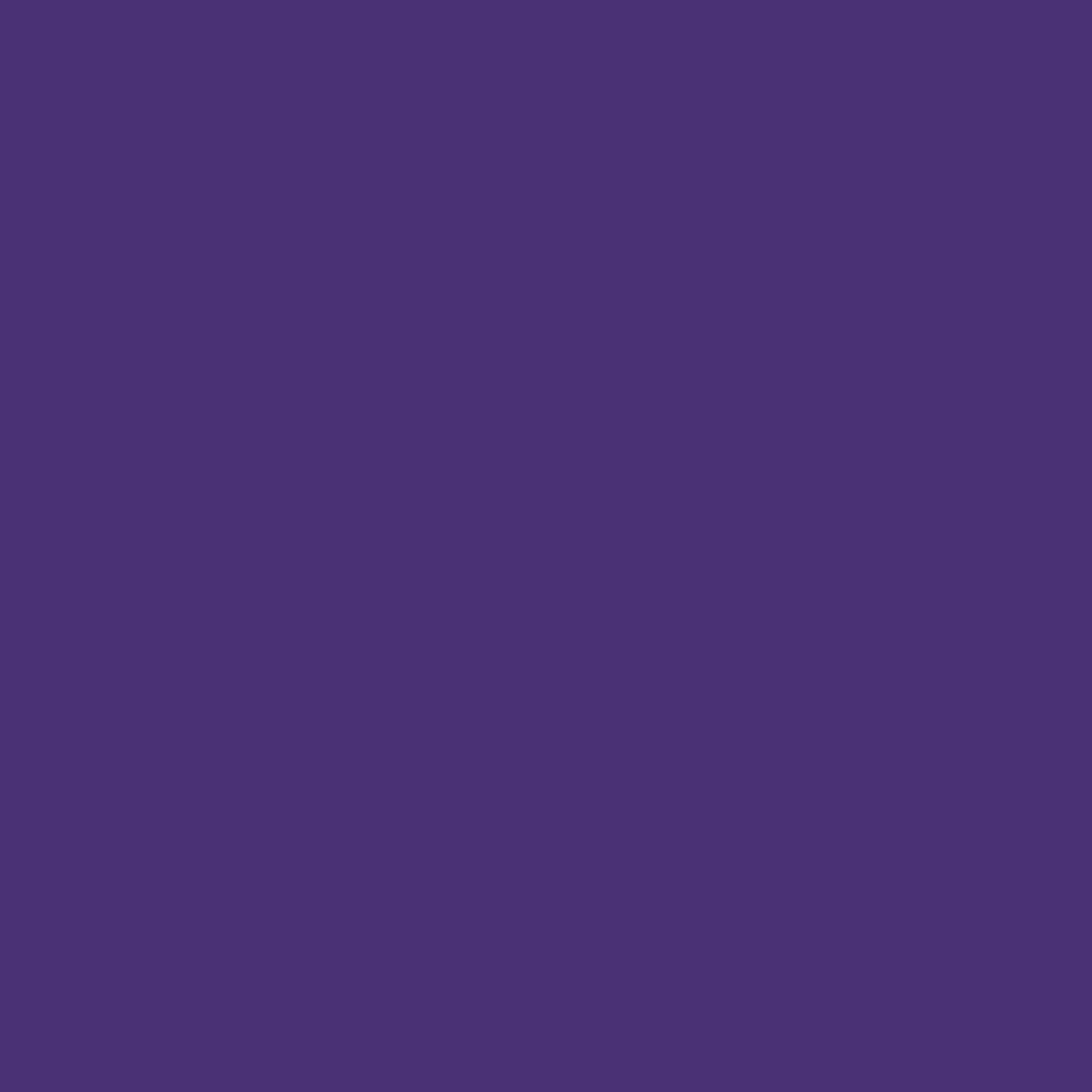 Ultra Violet Cricut Infusible Ink Transfer Sheets - 2-Pack