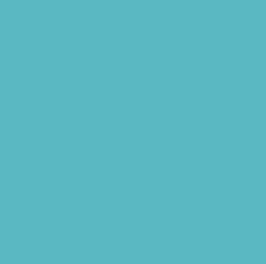 infusible Ink™ Transfer Sheets, Bright Teal (2-Pack)