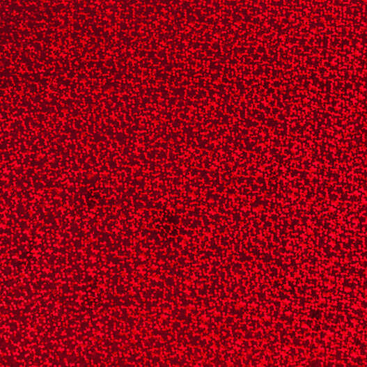 Primary Cricut Removable Vinyl Holographic Sparkle Sampler