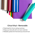 Premium Vinyl™ Sampler, Rainbow - Removable/Matte