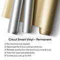 Smart Vinyl&trade; Shimmer &ndash; Permanent (3 ft)