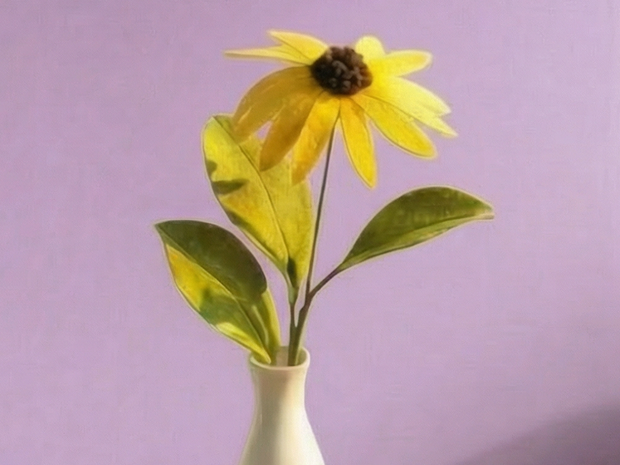 Felt flower project