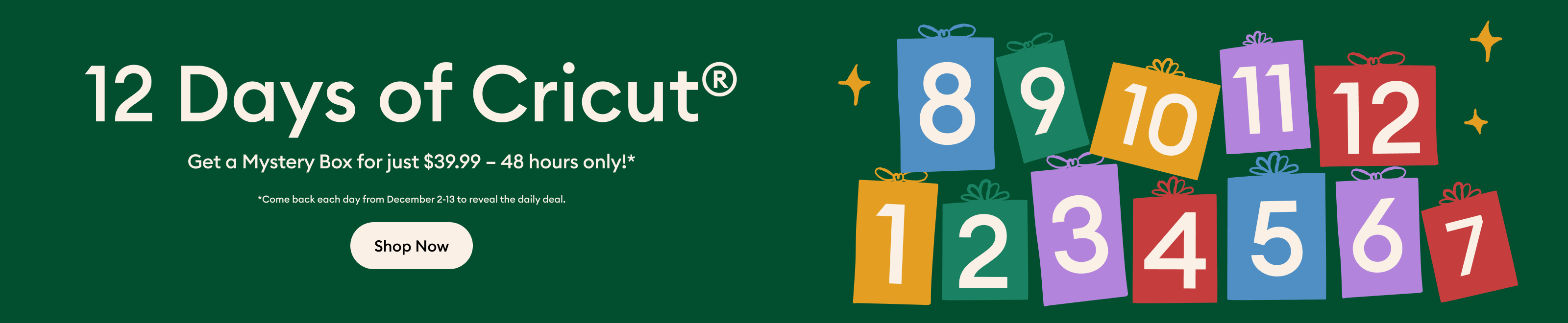 Get a Mystery Box for just $39.99.